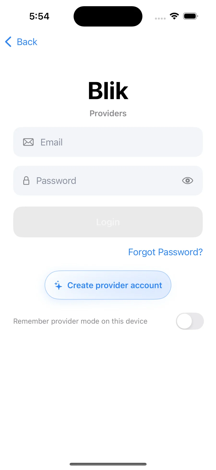 Blik Providers login screen from the shipped app with email, password, Create provider account, and a remember provider mode toggle.